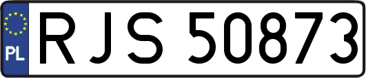 RJS50873
