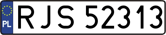 RJS52313