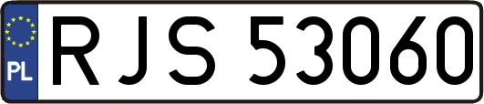 RJS53060