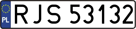 RJS53132