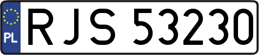 RJS53230