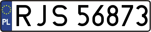 RJS56873