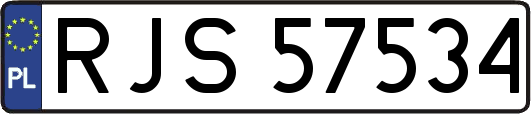 RJS57534