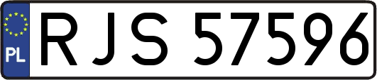 RJS57596
