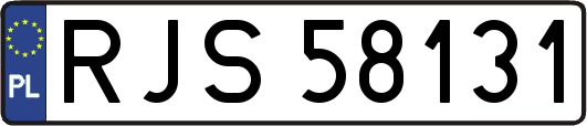 RJS58131