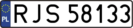 RJS58133
