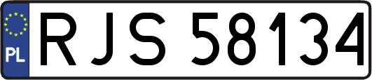 RJS58134