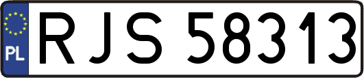RJS58313