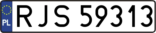 RJS59313