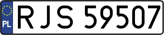 RJS59507