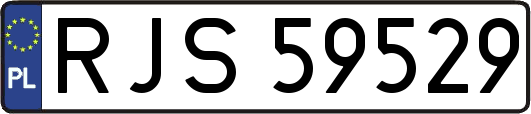 RJS59529