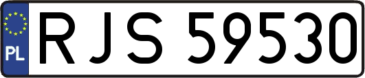 RJS59530