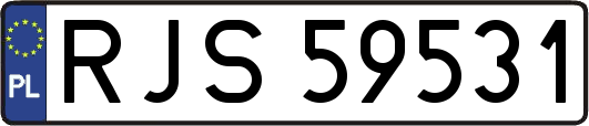 RJS59531