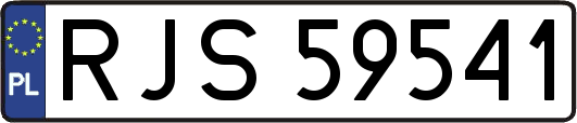 RJS59541