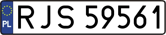 RJS59561