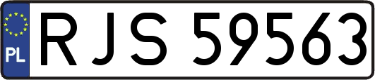 RJS59563