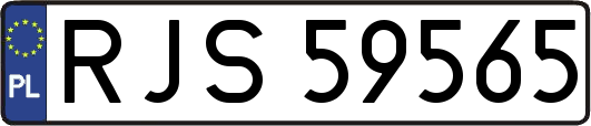 RJS59565