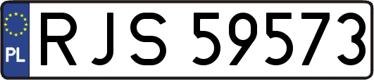 RJS59573