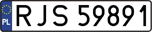 RJS59891