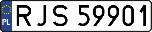 RJS59901