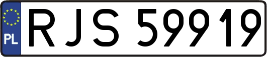 RJS59919