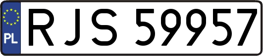 RJS59957