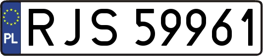 RJS59961