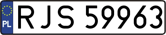 RJS59963