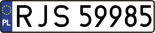 RJS59985