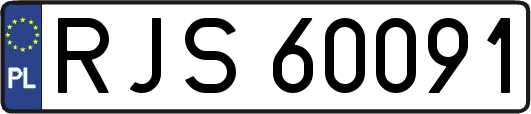 RJS60091