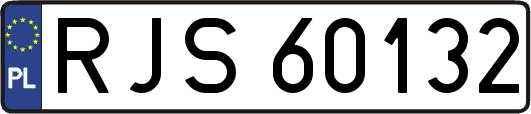 RJS60132
