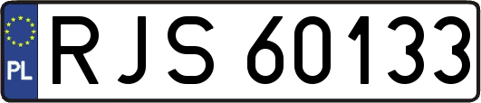 RJS60133