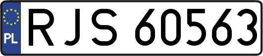 RJS60563