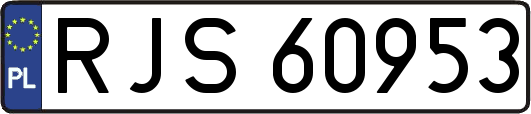 RJS60953