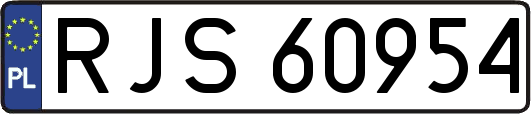 RJS60954