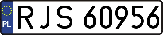 RJS60956