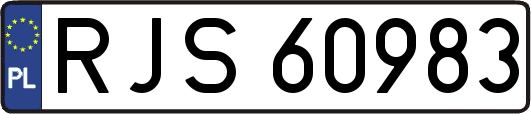 RJS60983