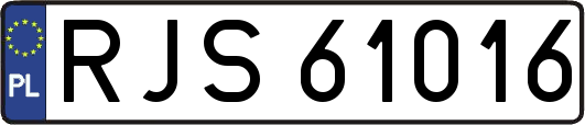 RJS61016