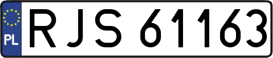 RJS61163