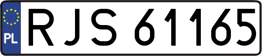 RJS61165