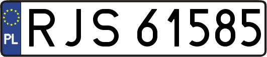 RJS61585