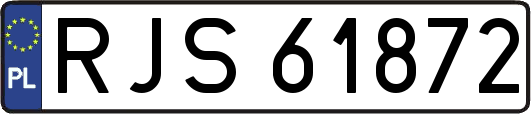 RJS61872