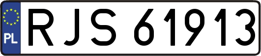 RJS61913