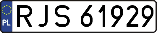 RJS61929