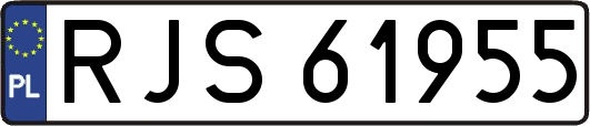 RJS61955