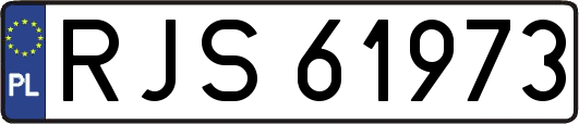 RJS61973