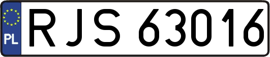 RJS63016