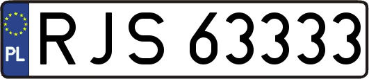 RJS63333