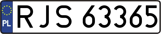 RJS63365