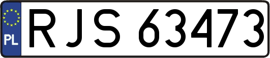 RJS63473